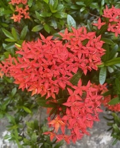 IMG_1897.jpg